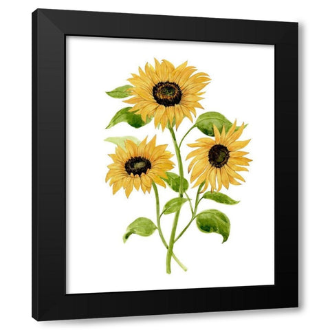Sunflower Trio I Black Modern Wood Framed Art Print with Double Matting by Warren, Annie