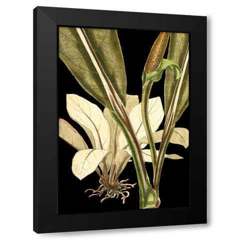 Tranquil Tropical Leaves V Black Modern Wood Framed Art Print with Double Matting by Vision Studio