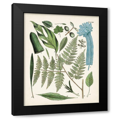Fanciful Ferns IV Black Modern Wood Framed Art Print with Double Matting by Unknown