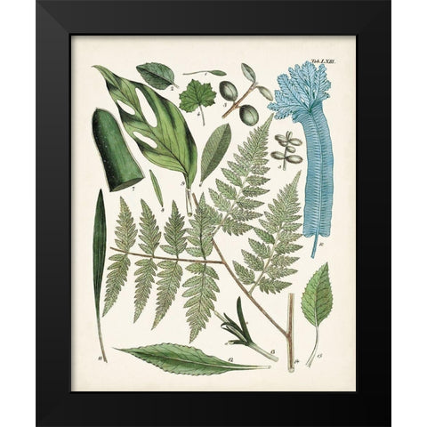Fanciful Ferns IV Black Modern Wood Framed Art Print by Unknown