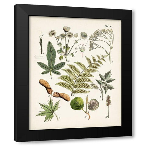 Fanciful Ferns VI Black Modern Wood Framed Art Print with Double Matting by Unknown