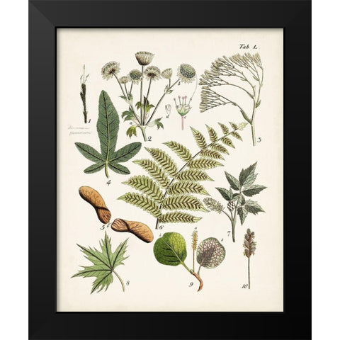 Fanciful Ferns VI Black Modern Wood Framed Art Print by Unknown