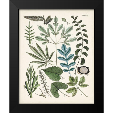 Fanciful Ferns VII Black Modern Wood Framed Art Print by Unknown