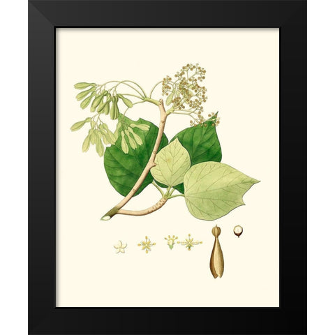 Spring Green Foliage IV Black Modern Wood Framed Art Print by Unknown