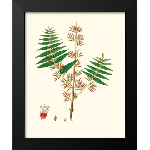Spring Green Foliage VI Black Modern Wood Framed Art Print by Unknown