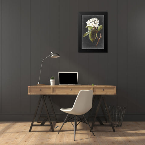 Dramatic White Flowers I Black Modern Wood Framed Art Print by Vision Studio