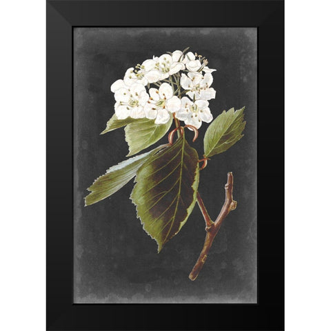 Dramatic White Flowers I Black Modern Wood Framed Art Print by Vision Studio