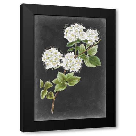 Dramatic White Flowers II Black Modern Wood Framed Art Print by Vision Studio