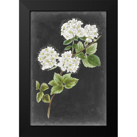 Dramatic White Flowers II Black Modern Wood Framed Art Print by Vision Studio