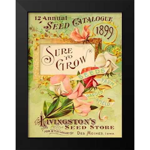 Antique Seed Packets VIII Black Modern Wood Framed Art Print by Unknown