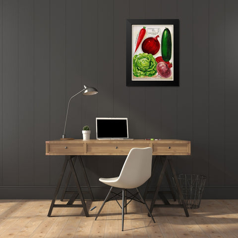 Antique Seed Packets XI Black Modern Wood Framed Art Print by Unknown