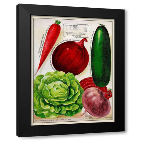 Antique Seed Packets XI Black Modern Wood Framed Art Print by Unknown