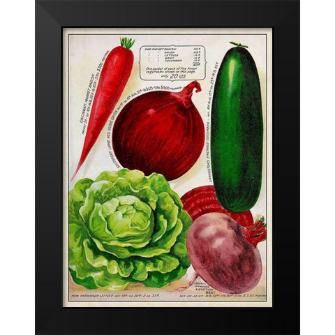 Antique Seed Packets XI Black Modern Wood Framed Art Print by Unknown