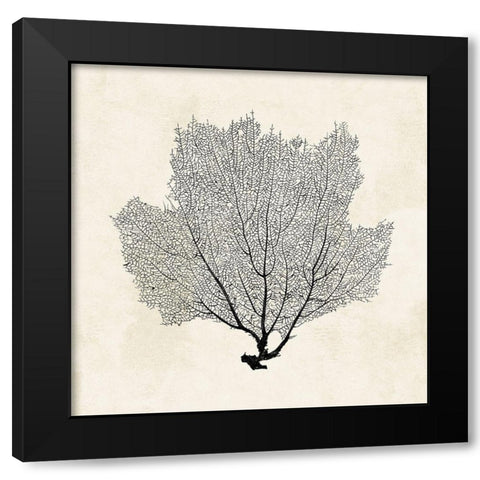 Sea Fan Sketch I Black Modern Wood Framed Art Print by Popp, Grace
