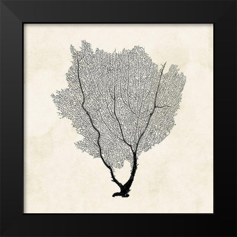 Sea Fan Sketch II Black Modern Wood Framed Art Print by Popp, Grace