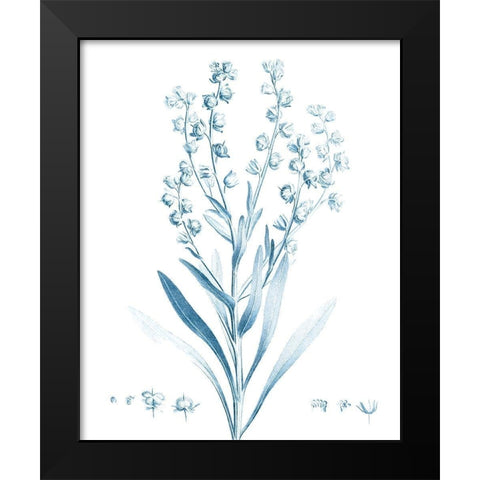 Antique Botanical in Blue I Black Modern Wood Framed Art Print by Vision Studio