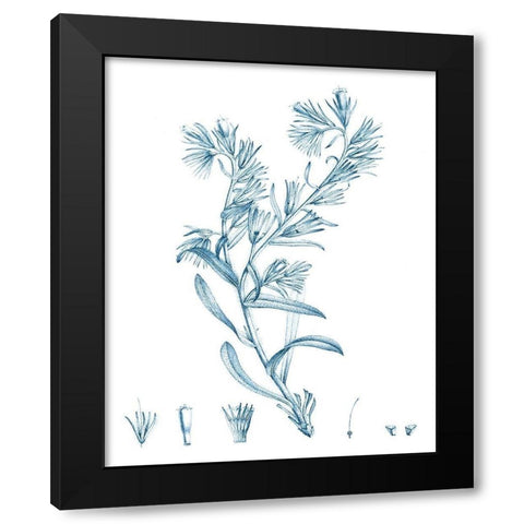 Antique Botanical in Blue II Black Modern Wood Framed Art Print with Double Matting by Vision Studio