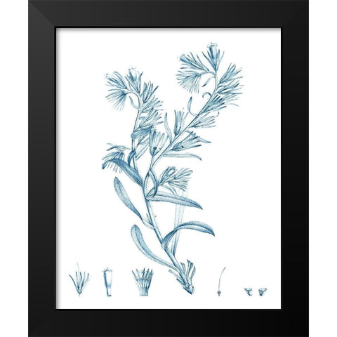 Antique Botanical in Blue II Black Modern Wood Framed Art Print by Vision Studio