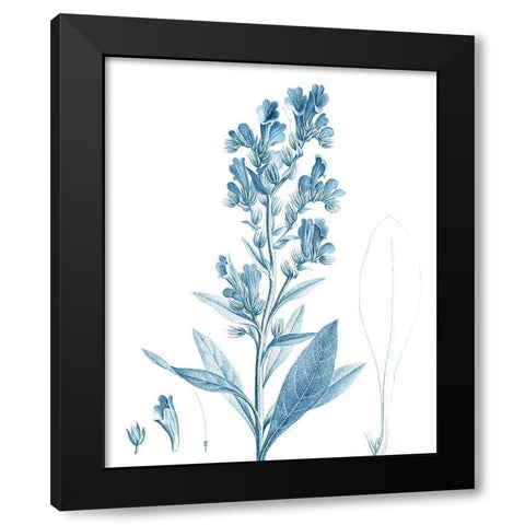 Antique Botanical in Blue III Black Modern Wood Framed Art Print with Double Matting by Vision Studio