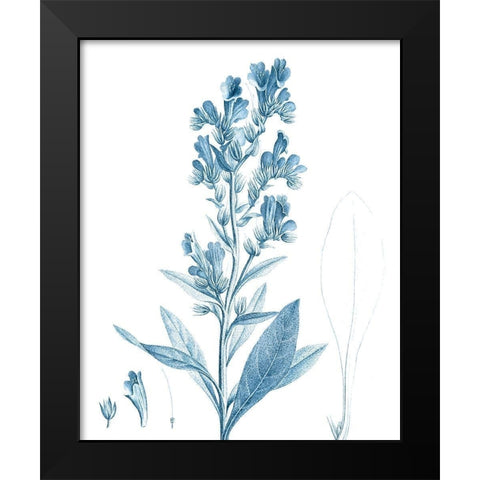 Antique Botanical in Blue III Black Modern Wood Framed Art Print by Vision Studio