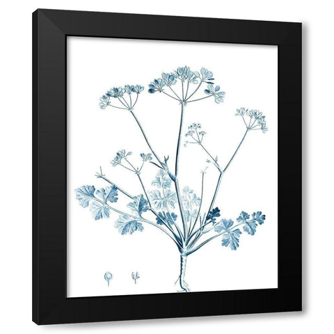 Antique Botanical in Blue IV Black Modern Wood Framed Art Print by Vision Studio