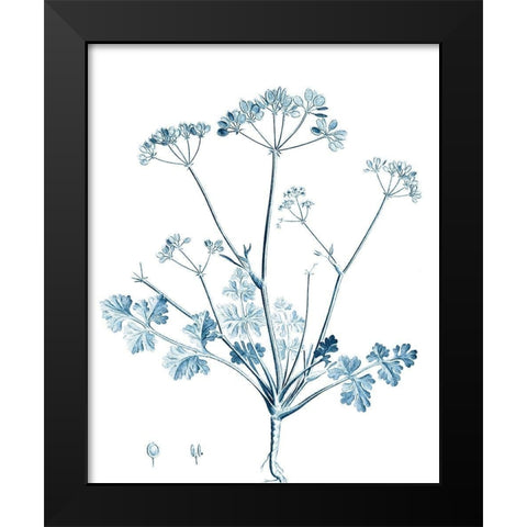 Antique Botanical in Blue IV Black Modern Wood Framed Art Print by Vision Studio