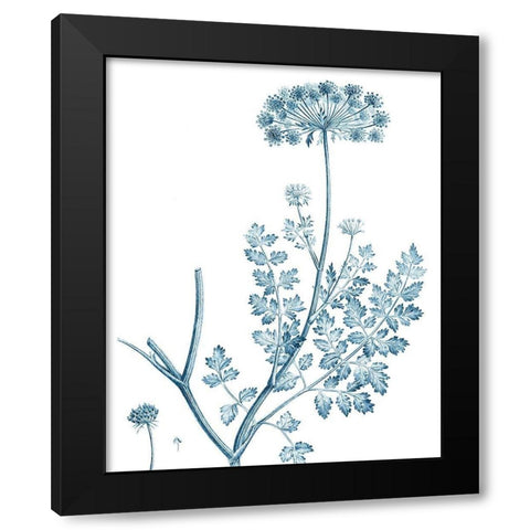 Antique Botanical in Blue V Black Modern Wood Framed Art Print with Double Matting by Vision Studio