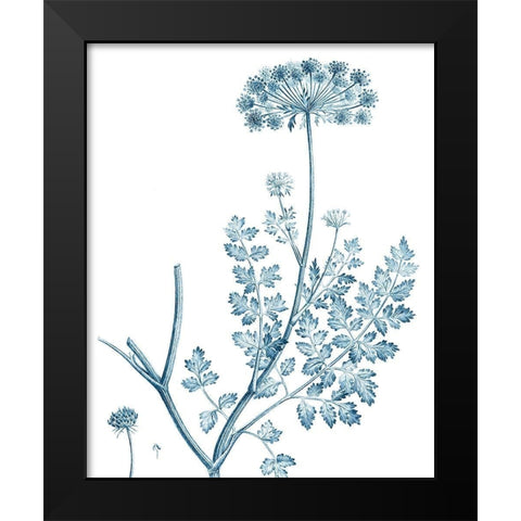 Antique Botanical in Blue V Black Modern Wood Framed Art Print by Vision Studio