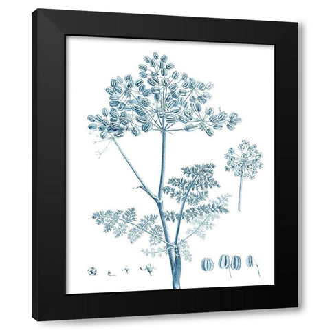 Antique Botanical in Blue VI Black Modern Wood Framed Art Print with Double Matting by Vision Studio