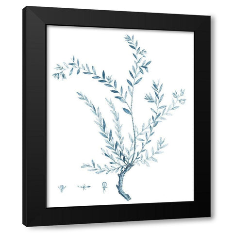 Antique Botanical in Blue VII Black Modern Wood Framed Art Print by Vision Studio