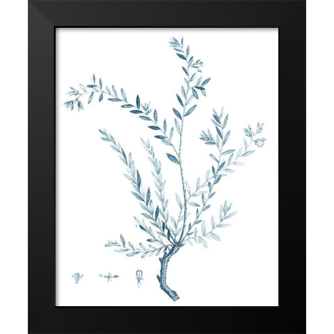 Antique Botanical in Blue VII Black Modern Wood Framed Art Print by Vision Studio