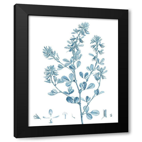 Antique Botanical in Blue VIII Black Modern Wood Framed Art Print with Double Matting by Vision Studio