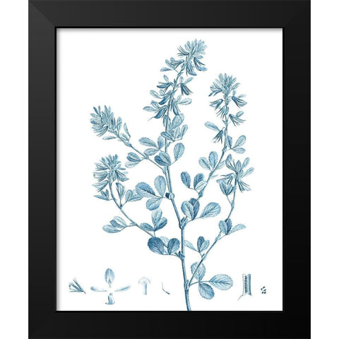 Antique Botanical in Blue VIII Black Modern Wood Framed Art Print by Vision Studio