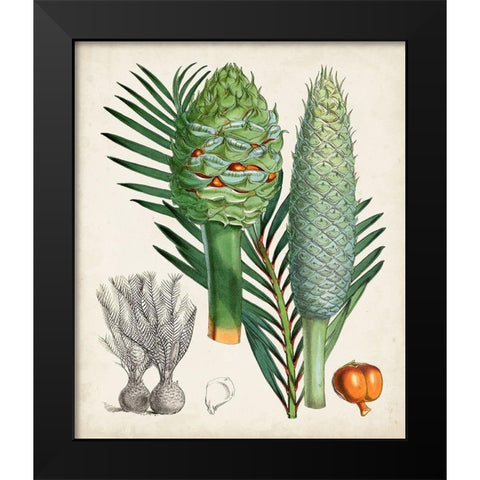 Sago Palms I Black Modern Wood Framed Art Print by Curtis