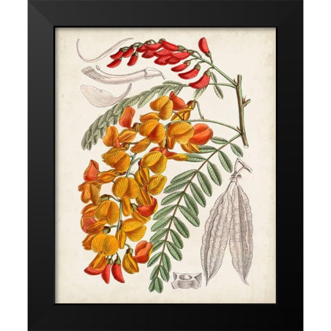 Delicate Tropicals IX Black Modern Wood Framed Art Print by Curtis