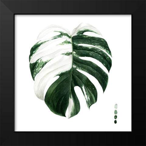 Variegated Monstera II Black Modern Wood Framed Art Print by Popp, Grace