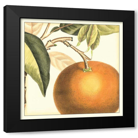 Graphic Orange Black Modern Wood Framed Art Print with Double Matting by Vision Studio