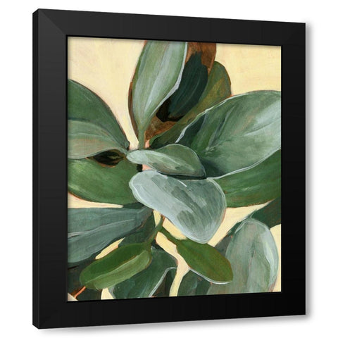 Plant Study I Black Modern Wood Framed Art Print with Double Matting by Warren, Annie