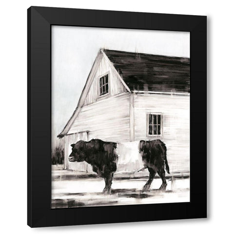 Belted Galloway II Black Modern Wood Framed Art Print with Double Matting by Harper, Ethan