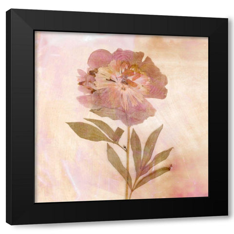 Remembered Flowers II Black Modern Wood Framed Art Print by Stalus, Judy