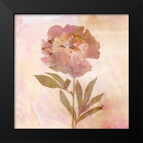 Remembered Flowers II Black Modern Wood Framed Art Print by Stalus, Judy