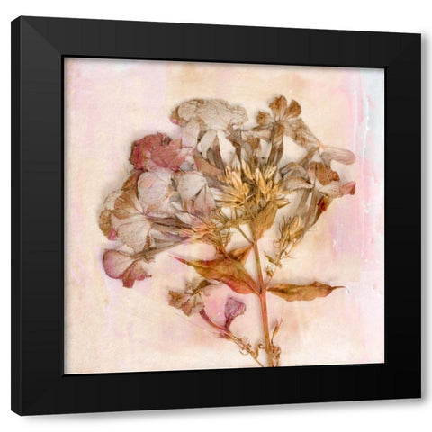 Remembered Flowers III Black Modern Wood Framed Art Print with Double Matting by Stalus, Judy