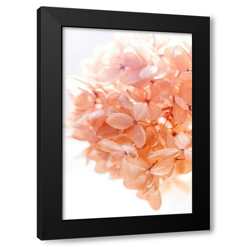 Sunny Morning I Black Modern Wood Framed Art Print by Stalus, Judy