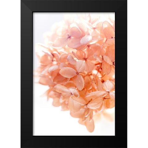 Sunny Morning I Black Modern Wood Framed Art Print by Stalus, Judy