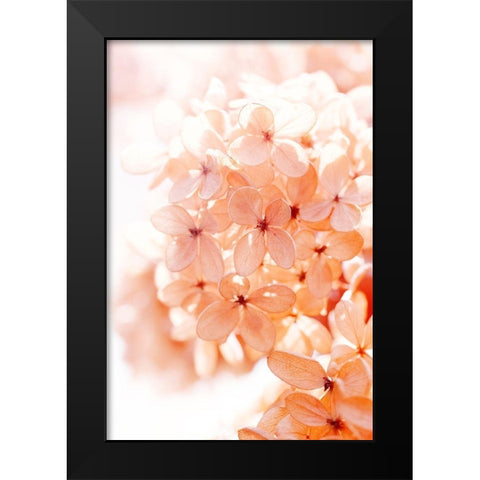 Sunny Morning II Black Modern Wood Framed Art Print by Stalus, Judy