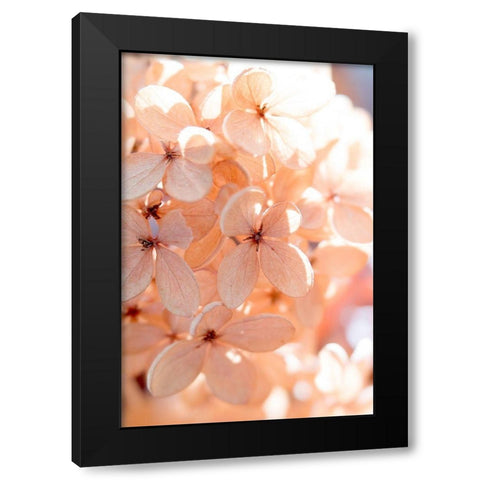 Sunny Morning III Black Modern Wood Framed Art Print with Double Matting by Stalus, Judy