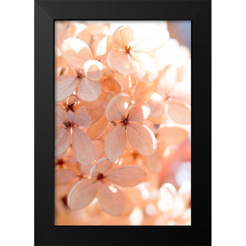 Sunny Morning III Black Modern Wood Framed Art Print by Stalus, Judy