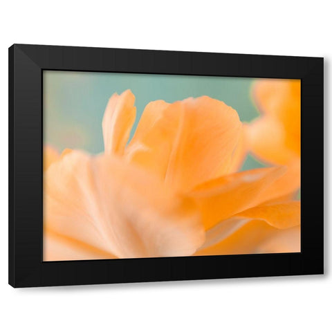 Double Vision I Black Modern Wood Framed Art Print by Stalus, Judy