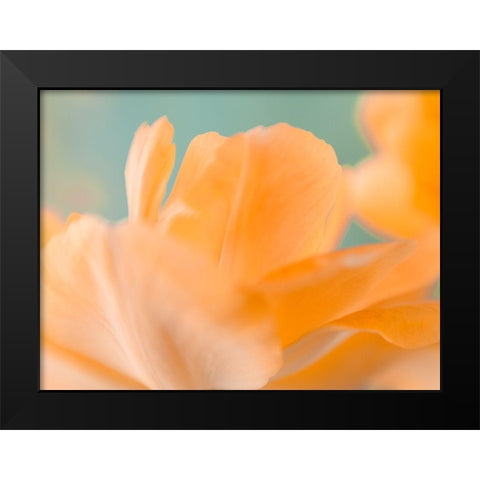 Double Vision I Black Modern Wood Framed Art Print by Stalus, Judy