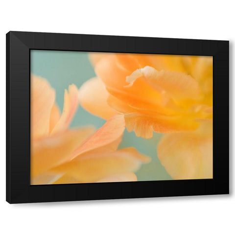 Double Vision II Black Modern Wood Framed Art Print by Stalus, Judy